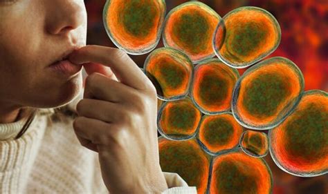 Ureaplasma is an infection that is found in up to 70% of sexually ...
