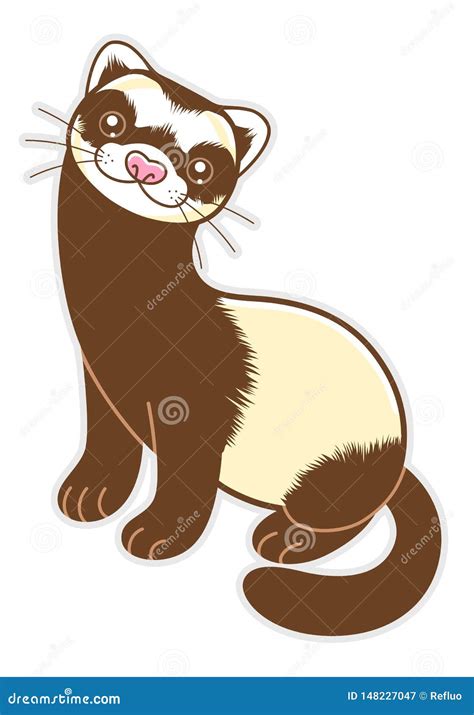 Cartoon Ferret Animal Face Vector Illustration On White | CartoonDealer ...