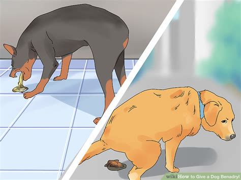 how do you give benadryl to a dog