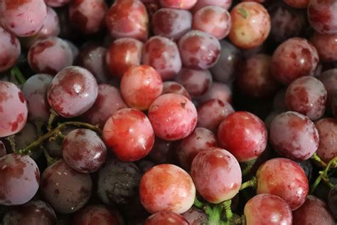 5 Delicious Snacks That Help Reduce Pain (By Fighting Inflammation
