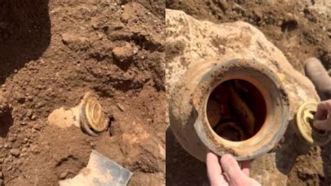 Watch: Man Follows Metal Detector Sounds, Starts Digging And Discovers ...