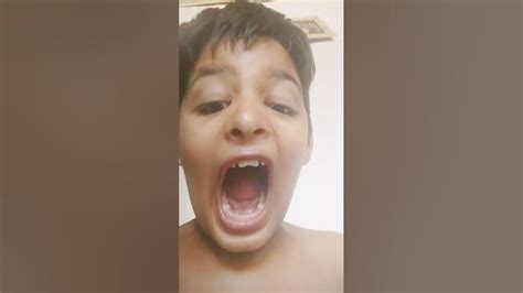 um gato lindo da pega - YouTube