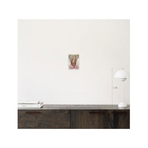 A drawing of a hairy vulva | Stewart Fletcher Studios