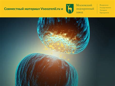 Зрительный нерв, строение, функции, лечение.