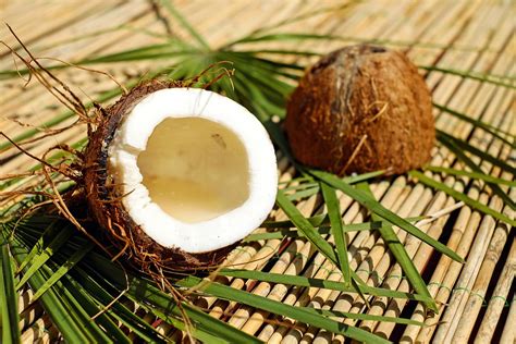 Coconut Nut Shell · Free photo on Pixabay
