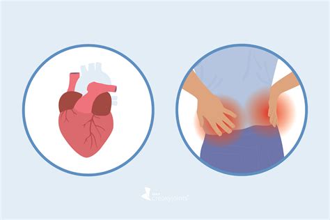 Axial Spondyloarthritis (axSpA) and Heart Disease: Why You’re at ...