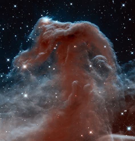 Hubble Views the Horsehead Nebula