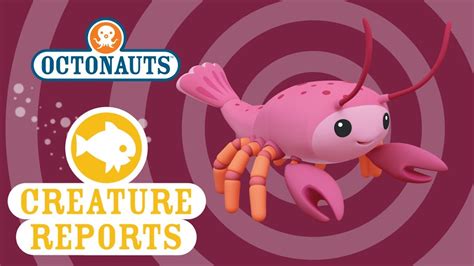 Octonauts: Creature Report - Reef Lobster - Brown Bag Labs