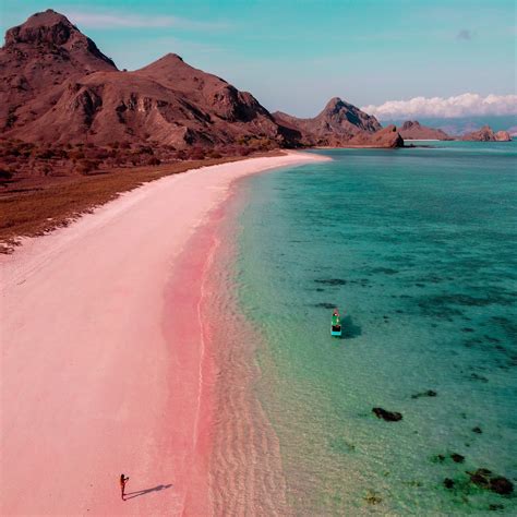 Pink Beach Komodo Island Indonesia: Exploring the Ultimate Wonders ...
