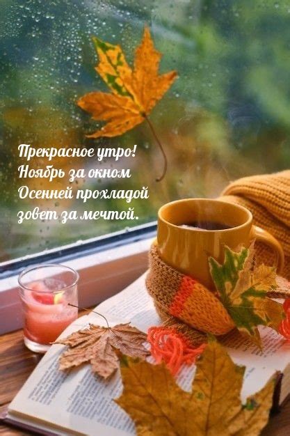 Картинки с надписью - Прекрасное утро! Ноябрь за окном.