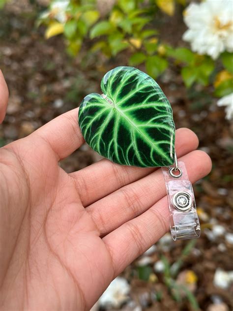 Unique Leaf ID Bage Holder – The Plant Ecologist