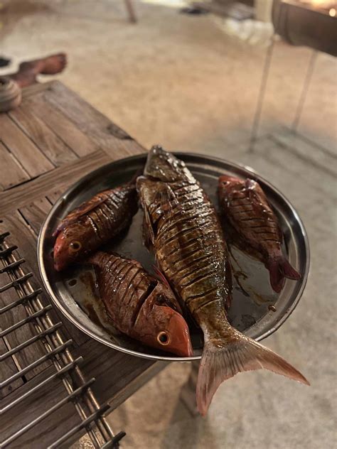 The Ultimate Guide to Kendhoo, The Local Maldives Island Gem