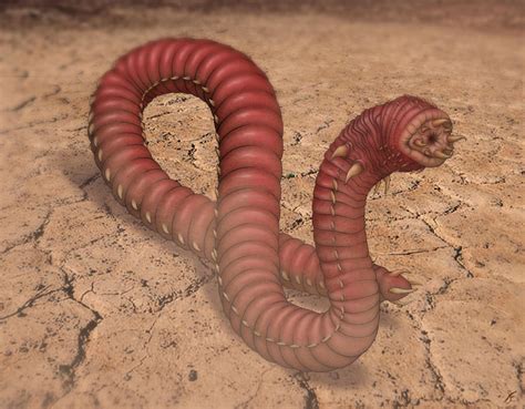 mongolian Deathworm by Eggmungus on DeviantArt