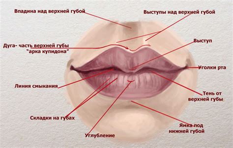 Как нарисовать губы кукле мастер класс — Усадьба