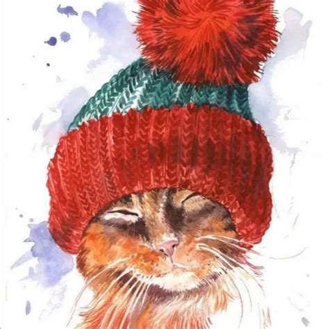 Котик в шапке рисунок - 75 фото