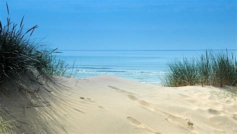 Fun Days Out in Camber Sands