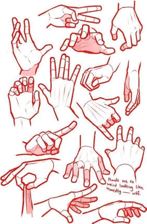 Referencia Para Desenhar - Referencias para dibujar - | Referência mão, Como desenhar mãos ...