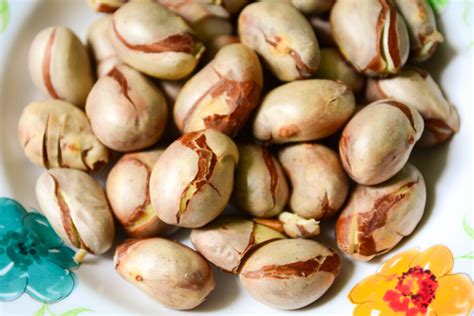 Qual O Beneficio Do Caroço Da Jaca - Benefícios do Caroço da Jaca: O que Dá Para Fazer com Ele? – Mundo Ecologia