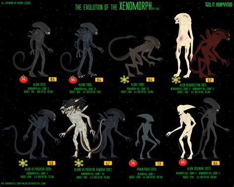 evolution   xenomorph illustrated infographic imgur alien