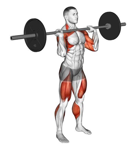 Hang Clean and Jerk: Benefits, Muscles Worked, and More - Inspire US