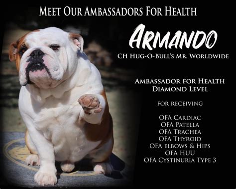 Bulldog Health - The Bulldog Club of America Focus on Health!