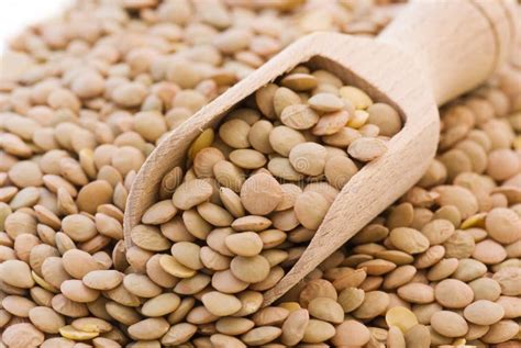lentil stock image image  lentil vegetable asian