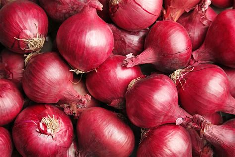 All About Red Onions - Minneopa Orchards