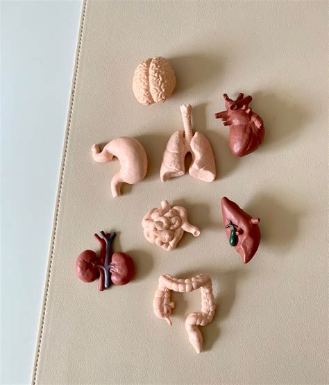 Pc And Human Body Comparison 4
