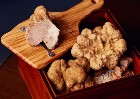 white truffle menus  hong kong  honeycombers