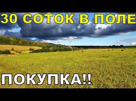 Теперь я ДАЧНИК!!! Покупка участка ИЖС!!! Начало дачной истории ...