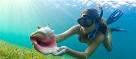 Cozumel Small Group Snorkeling Tour - $30us Adults