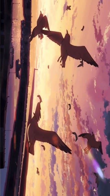 4D ANIMA - YouTube