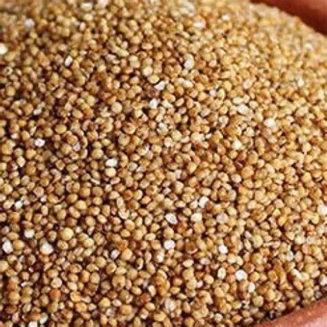 Kodo Millet, Packaging Size: 25kg at ₹ 85/kg in Bengaluru | ID: 25231913788