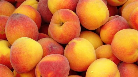 fruits  peach  laura livingstone learmonth blog