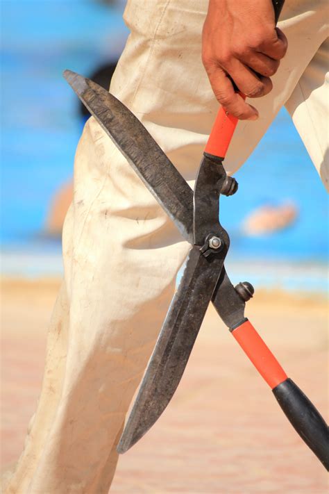 shears      shears stock  hd images