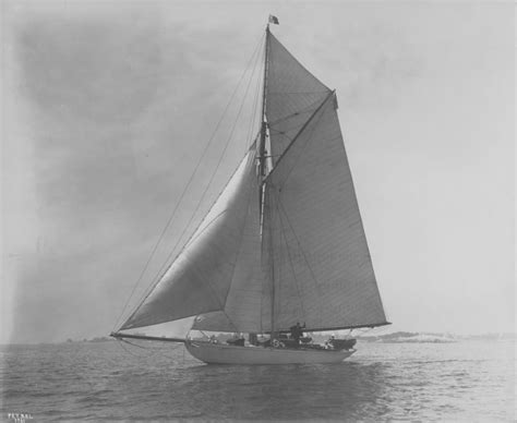 Petrel | MIT Museum