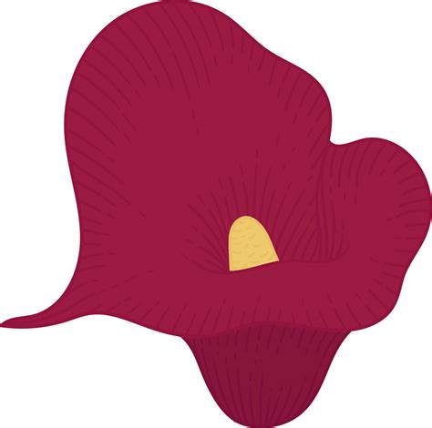 Red calla lily flower hand drawn illustration. 10172747 PNG