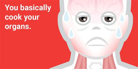 This Is What Happens to Your Body When You Get Too Hot - Business Insider