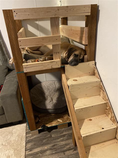 I made a two story dog house for my mastiff. I haven't painted yet and ...