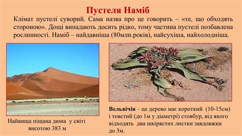 Природні зони Африки