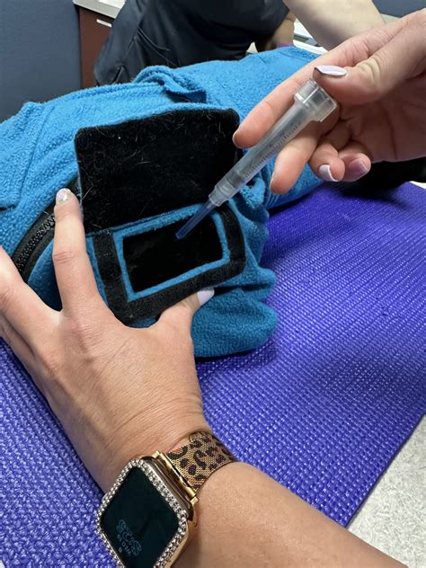 calm cozy cat wrap catvetlife