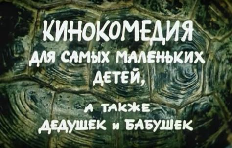 Внимание, черепаха!