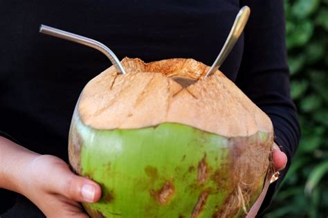 Кокосовая вода: что это, вкус, состав, польза и вред, как пить