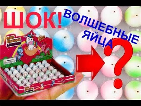 Волшебные яйца! Нереальный эксперемент! Кто у нас вылупился?! - YouTube