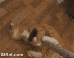 Cleaning GIFs - Find & Share on GIPHY