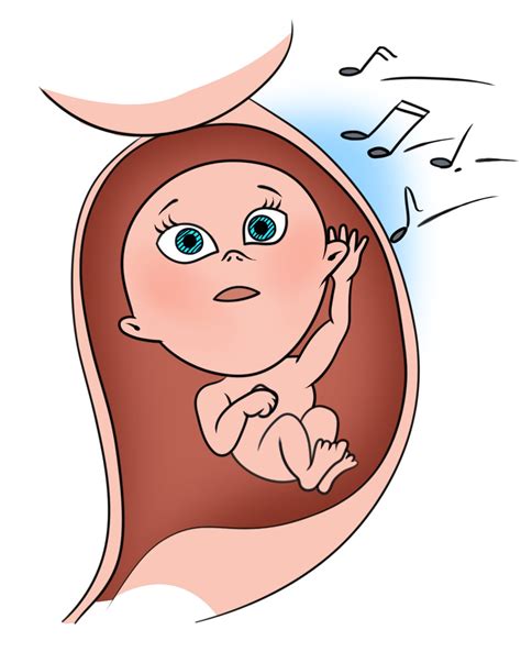 26 недель беременности | Mammyclub