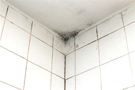 What You Can (and Can’t) Know By Looking at Mold