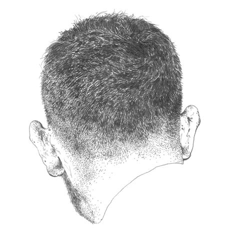 head drawing  paintingvalleycom explore collection