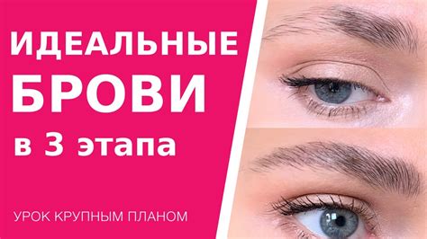 Как сделать идеальные модные брови всего в 3 этапа. Урок макияжа для ...