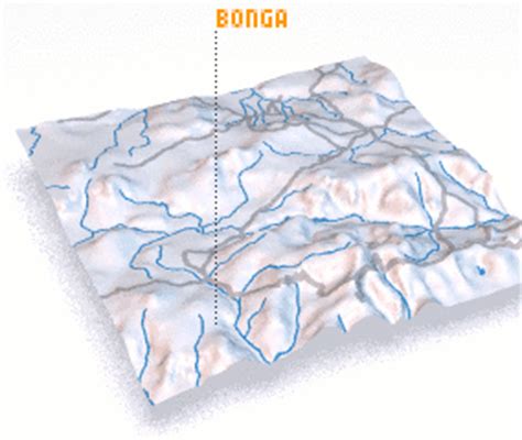 Bonga (Ethiopia) map - nona.net